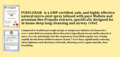 🏅🍀🐝🇬🇧 Official Store:Purelora® 6-in-1 Herbal BeePropolis Lung Cleanse Spray（👨‍⚕️Directly acts on COPD, asthma, chronic bronchitis (CB), respiratory infections, lung cancer, sinusitis, and other conditions🫁）
